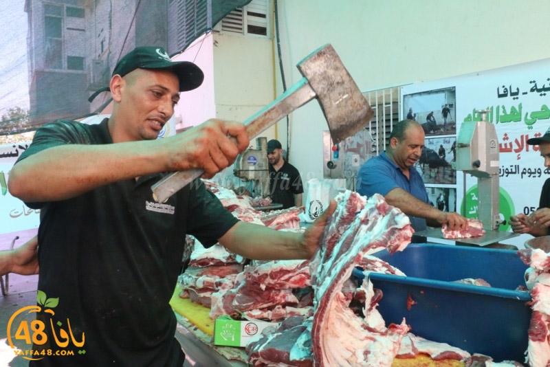 lod8om ada73y (29).JPG